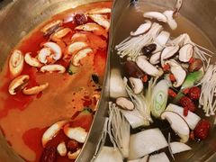 番茄鸳鸯锅-小龙坎老火锅(华飞店)
