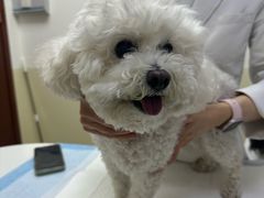 -美联众合动物医院·24h转诊中心