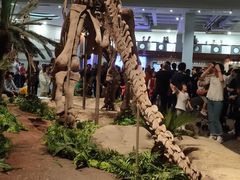 -自贡恐龙博物馆