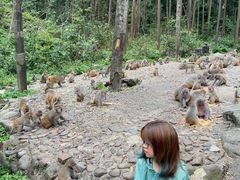 -姑婆山旅游区