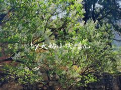 -潭柘寺景区