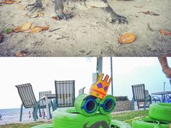 -东姑阿都拉曼海洋公园