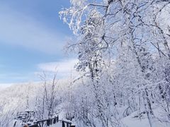 -雪谷