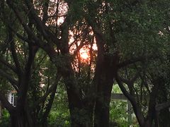 -南国桃园旅游度假区