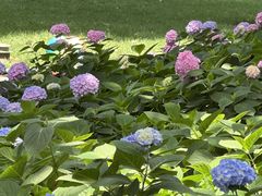 -常州古运河南大街文化旅游区-人民公园