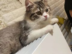 -平行世界·猫咖(首经贸店)