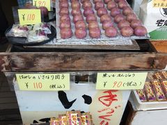 -水前寺成趣园