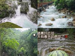 -九龙江国家森林公园