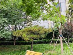 -和平区健康主题公园