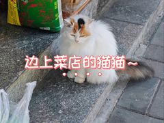 -宫门口馒头铺(创始人总店)