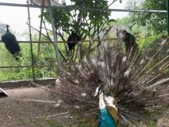 -南宁荔园维景国际酒店·荔园中餐厅