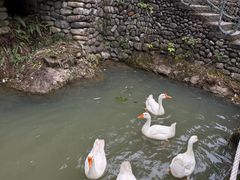 -天台山琼台仙谷景区