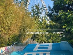 -日照海滨国家森林公园