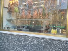 面包甜点陈列柜-廣順興(兴华路店)