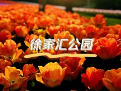 -徐家汇公园