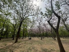 -古塔公园