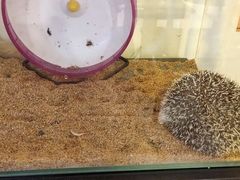 -平行世界·猫咖(首经贸店)