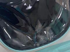 -安安宠医宠物医院·异宠·犬猫内科(岳阳分院)