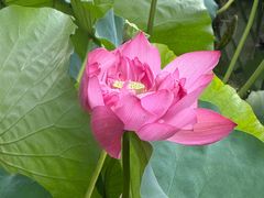 -西南交通大学(九里校区)