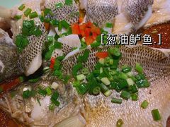 -新白鹿餐厅(金鹰新街口店)