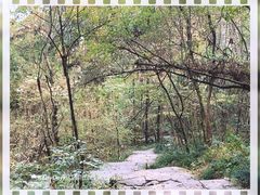 -紫蓬山国家森林公园