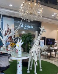 -同远QQBABY亲子摄影(北京路店)