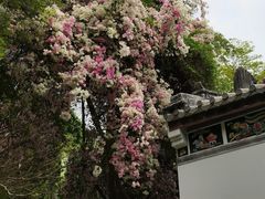 -深圳国际园林花卉博览园