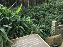 -杭州黄龙洞