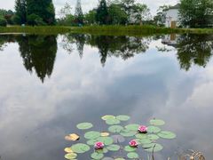 -玉舍国家森林公园