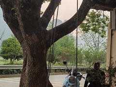 -村上春树