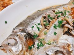 -华盛丰温州大排档(东三环南路店)