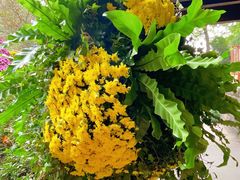 -杭州植物园
