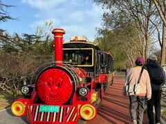 -大兴滨河森林公园