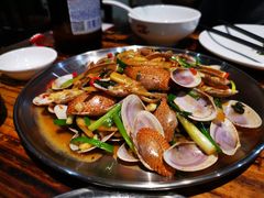 老友炒花甲螺-蚝美人·生蚝海鲜烧烤(茶花园店)