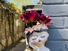 -庐灶江南·江南菜·四合院Bistro(东直门·华侨夜泊君亭店)