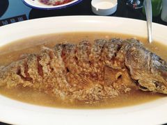 红烧黄河大鲤鱼（49元/斤）-阿庄新豫菜(通泰路店)
