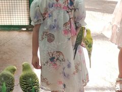 -杭州开元森泊度假乐园