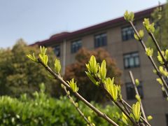 -上海财经大学(国定路校区)