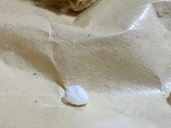 -桦立酒家(宜山路店)