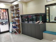 -天宠宠物医院24小时·急重症诊疗中心·全科·腔镜特色(和平分院)