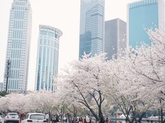 -西北湖绿化广场