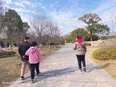-苏州太湖国家湿地公园