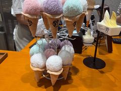 -野人先生现做冰淇淋(北京环宇荟店)