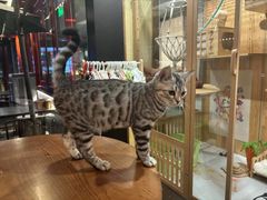 -府学·秋果S酒店(北京南锣鼓巷四合院店)