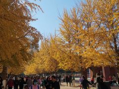 -辽宁大学(崇山校区)