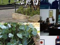 -正源安吉白茶特产享购商场(安吉店)
