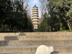 -灵谷景区