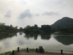 -桃花岛景观公园