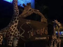 -清迈夜间动物园