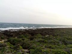 -鹅銮鼻公园